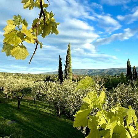 Provence Km28 Bed & Breakfast Gordes Bagian luar foto