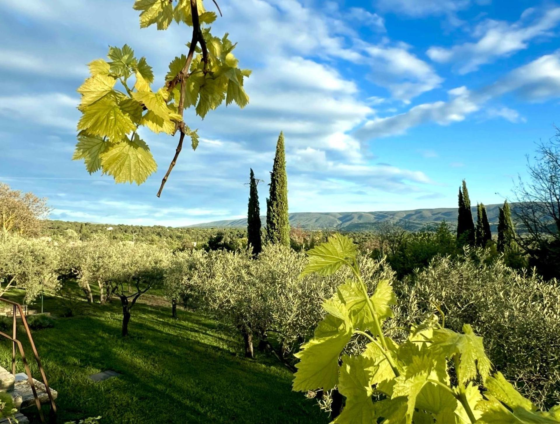 Provence Km28 Bed & Breakfast Gordes Bagian luar foto
