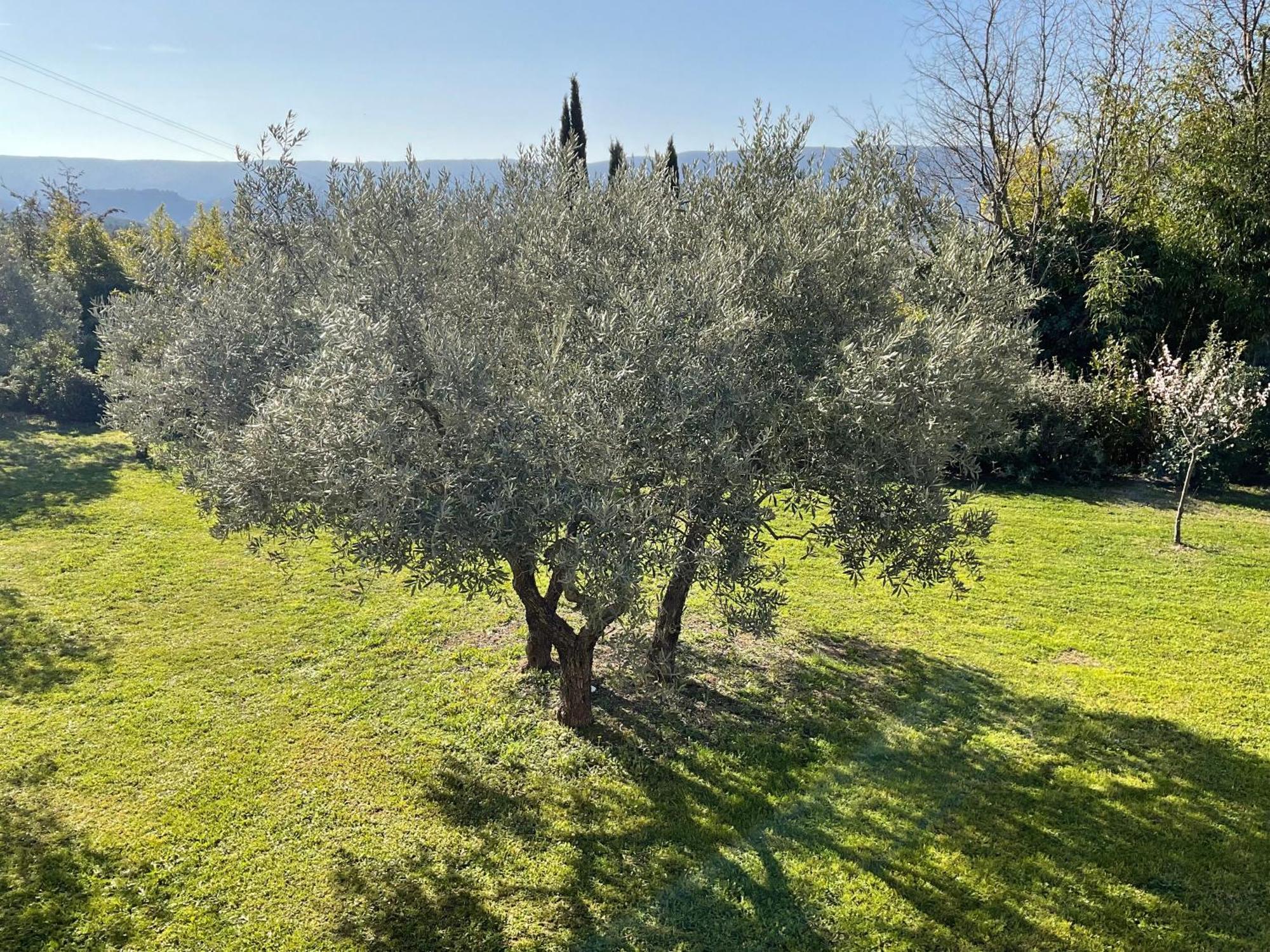 Provence Km28 Bed & Breakfast Gordes Bagian luar foto