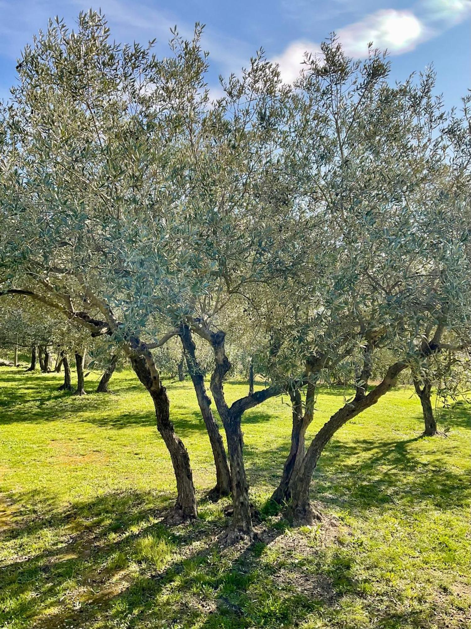 Provence Km28 Bed & Breakfast Gordes Bagian luar foto