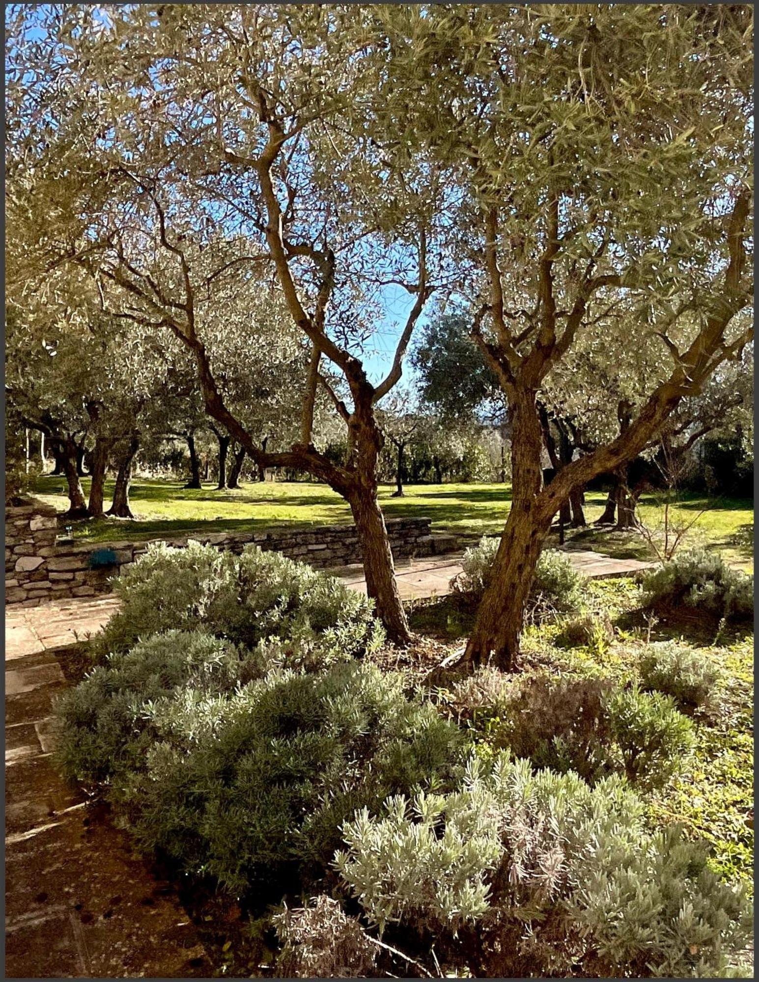 Provence Km28 Bed & Breakfast Gordes Bagian luar foto